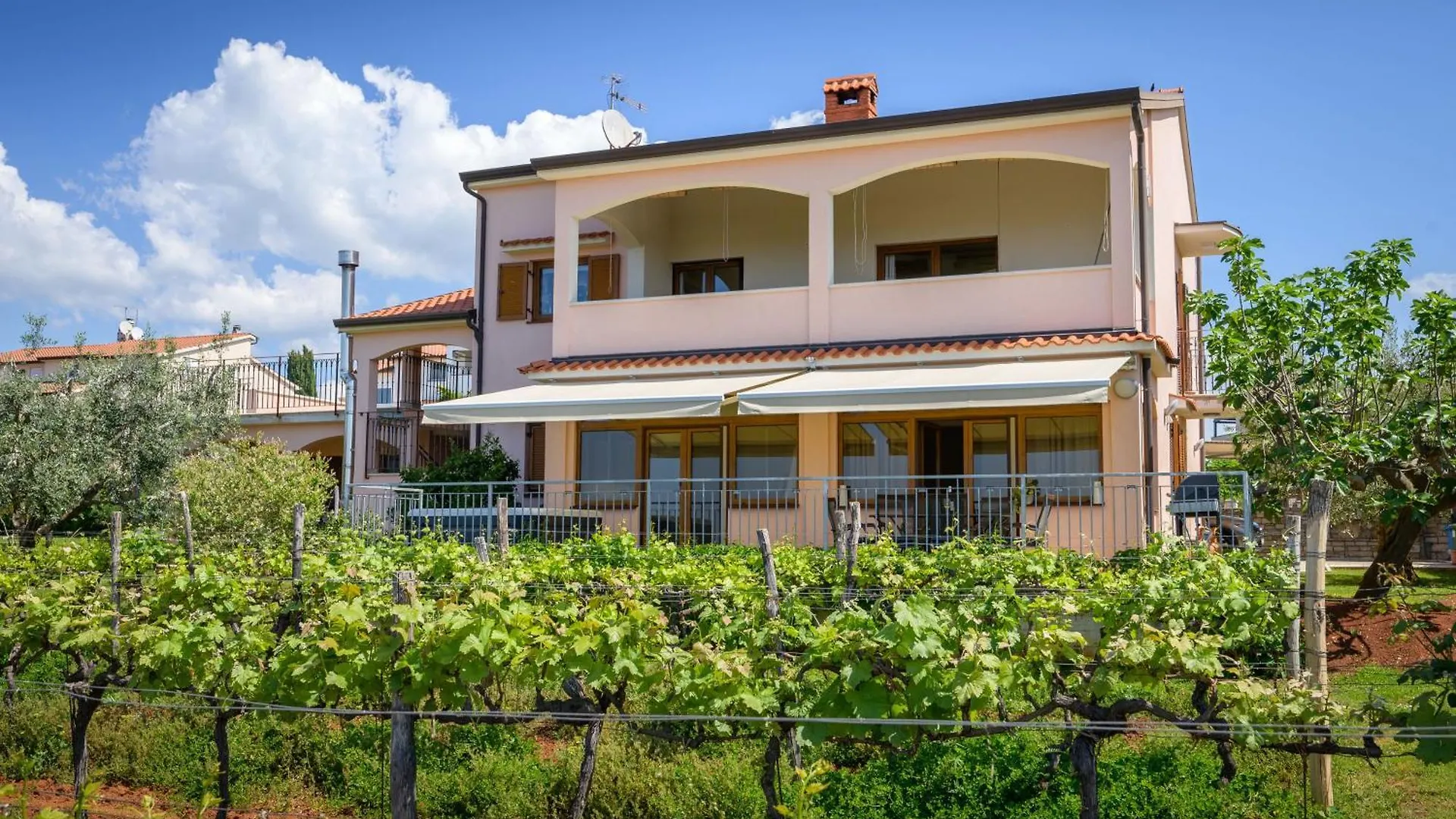 Apartman Niki Family Korlevic Tar-Vabriga 0*,